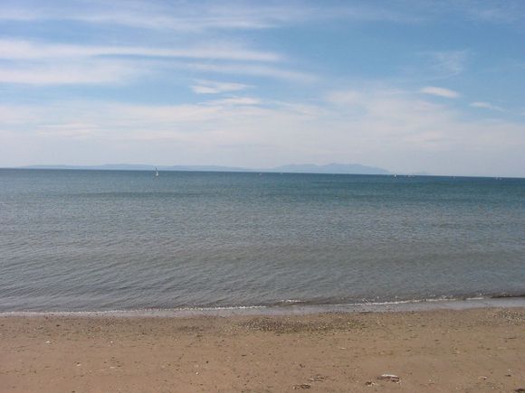 IMG 003.jpg