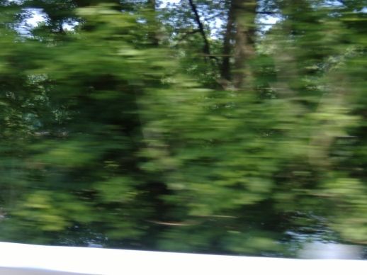 Drive action 4.jpg