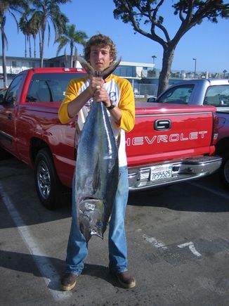 tuna 1