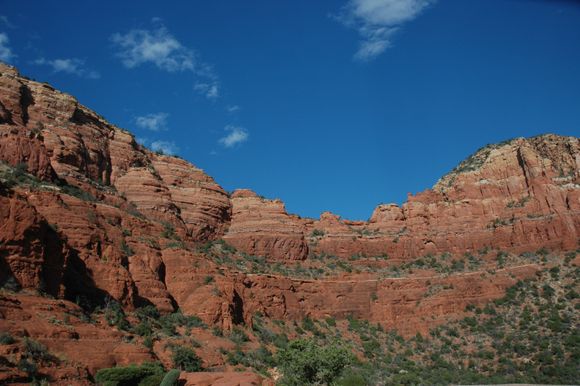 DSC_0314.JPG