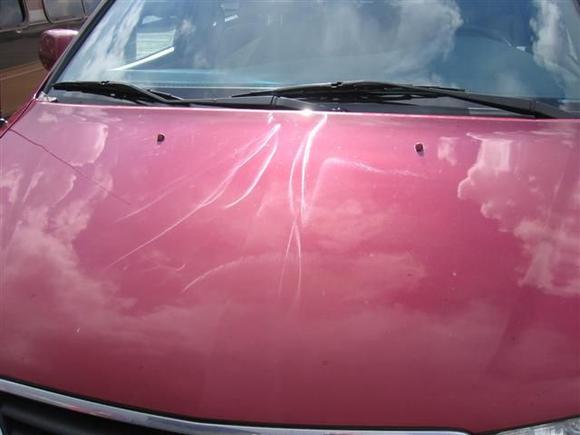 IMG_4551 (Small).JPG