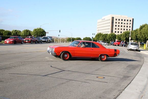 IMG_2262 crop.jpg