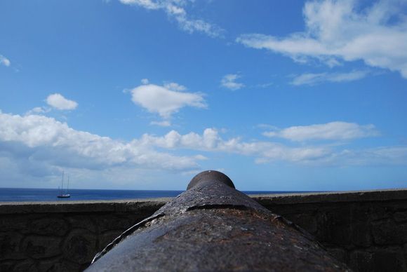 cannon 1.jpg