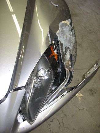 Hit and run damage!