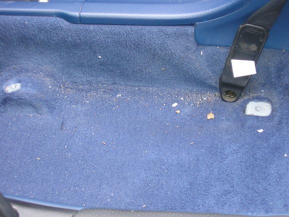 CARPET NO SEAT2.JPG