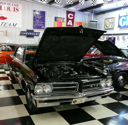 GTO (1 of a kind)