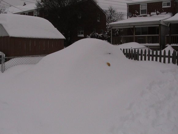 S2000 snow 001.jpg