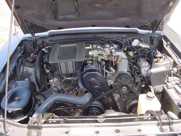 motor.JPG