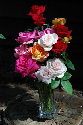 DSC_4786 070715 Roses.JPG