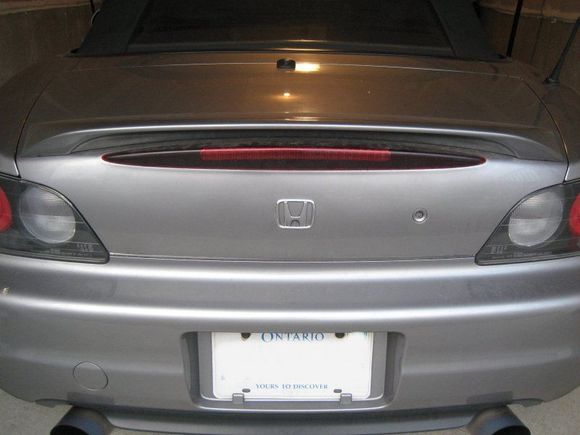 Trunk1.jpg
