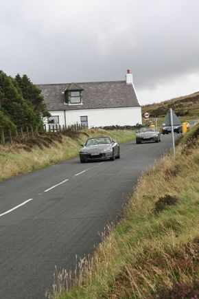 IMG_0028_1.jpg