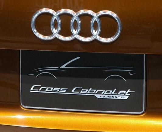 DSC_6512 071123 Audi Cross Cabriolet.JPG