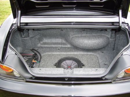 Trunk.jpg