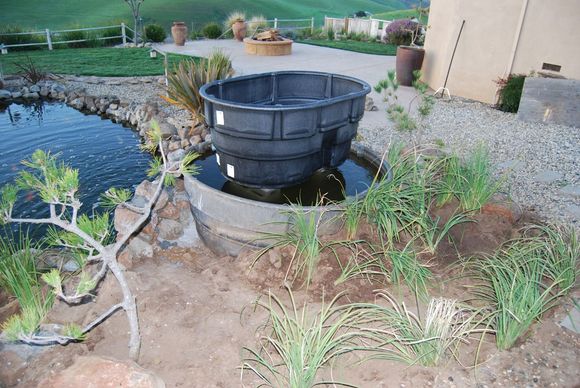 Pond Makeover 2008-03-04_11.jpg