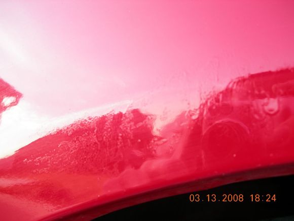 DSCN1125.JPG