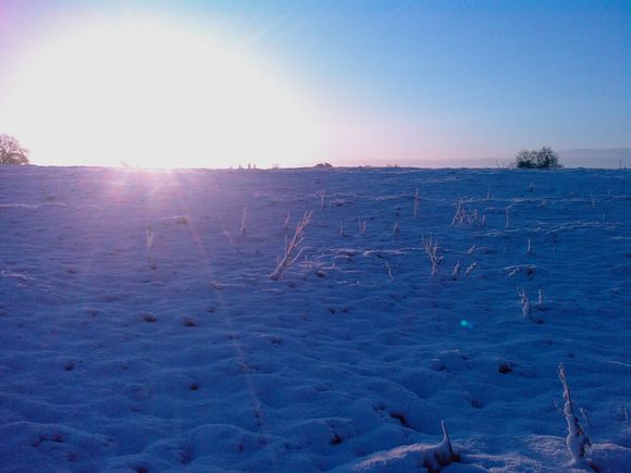 IMAGE_111.jpg