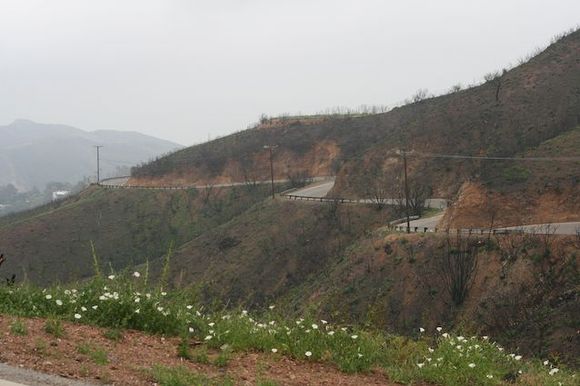 Curves 2-2.jpg