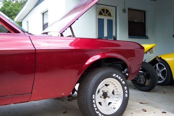mustang pics 002.JPG