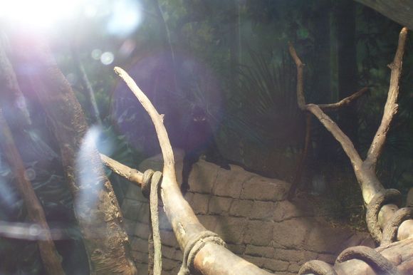 100_1371.jpg