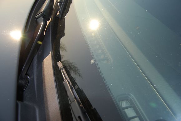 S20002008-07-06_16.JPG