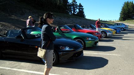 d lined up.jpg
