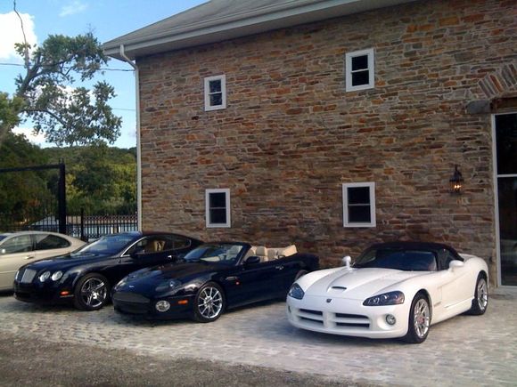 vipers2.jpg
