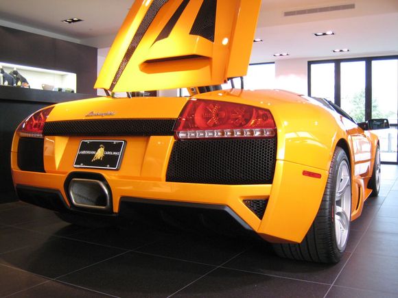 Lambo 8-16-08 011.jpg