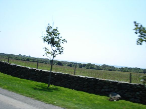DSC01988a.jpg