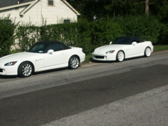 GP whites