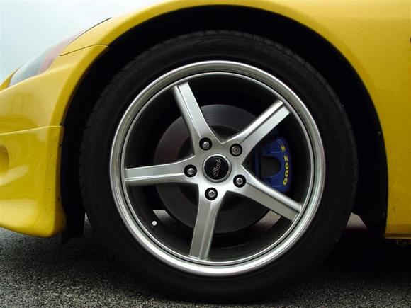 DSC02150 (Medium).JPG