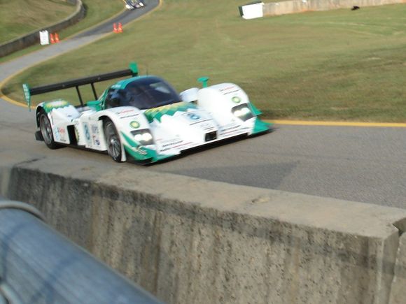 lola1.JPG