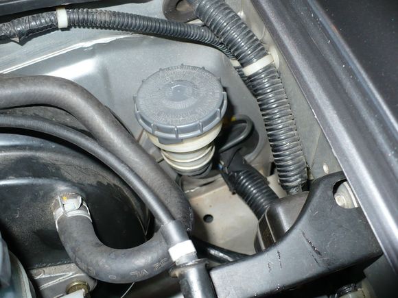 Engine bay pics for Robert 006.jpg