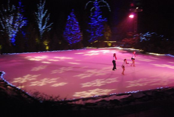 DSC_0168.JPG