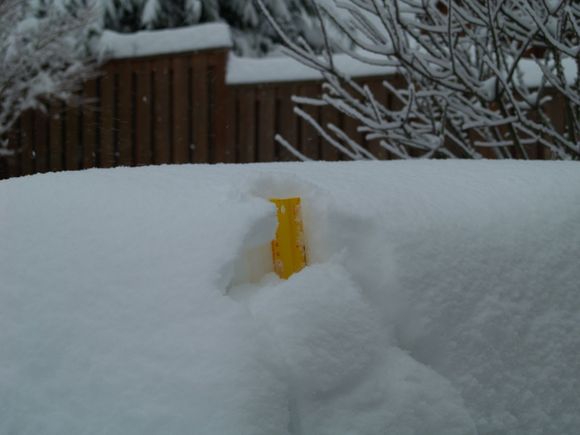 Over 12" and still snowing.