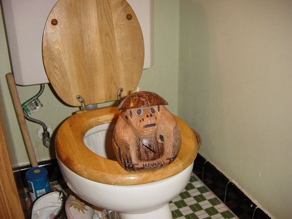 crappingMonkey.JPG