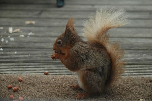 DSC_2130.JPG