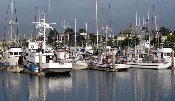 14 harbor.jpg