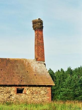chimney_storknest.jpg