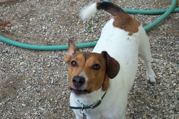 2009 Maggie 003.jpg
