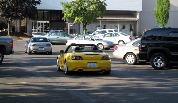 16 Elmer's lot.jpg