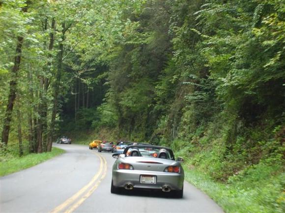 S5002055 (Small).JPG