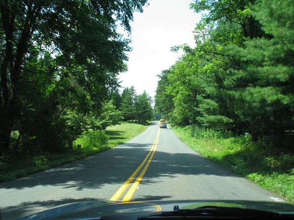 pic15.jpg