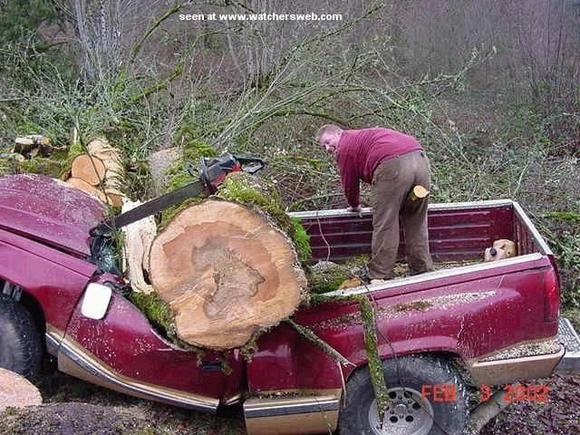 firewood.jpg
