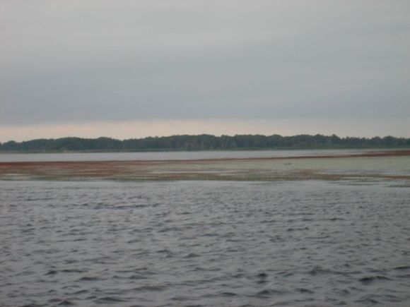 IMG_7936.JPG