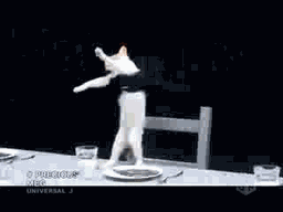 cat-dance.gif