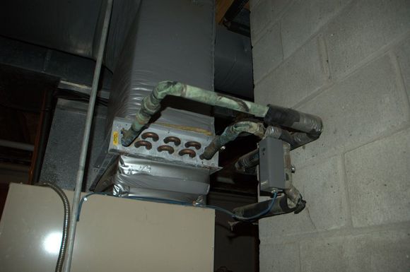 gabeous 014.jpg