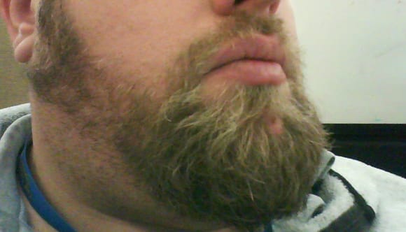 Beard-crop4weeks