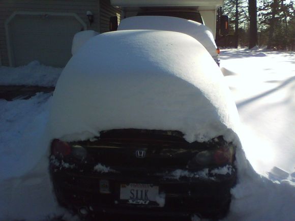 1220091518d.jpg