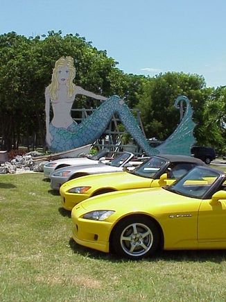 mermaid on my hood.JPG