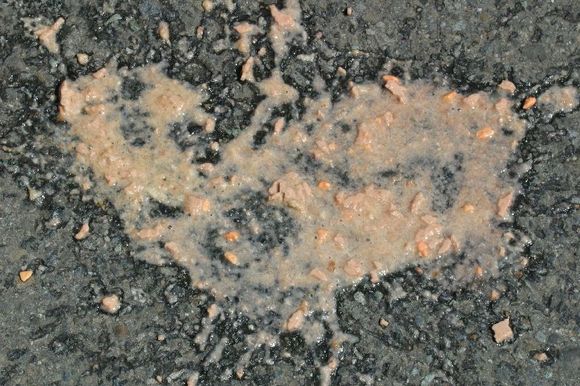 puke2.jpg